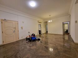 Banyan Condominium (D5), Condominium #413690391